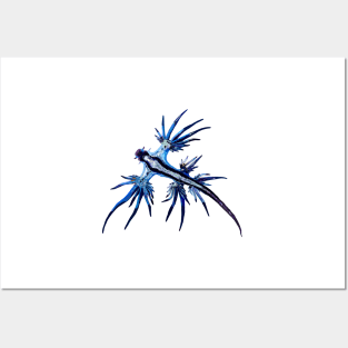 Blue Nudibranch Posters and Art